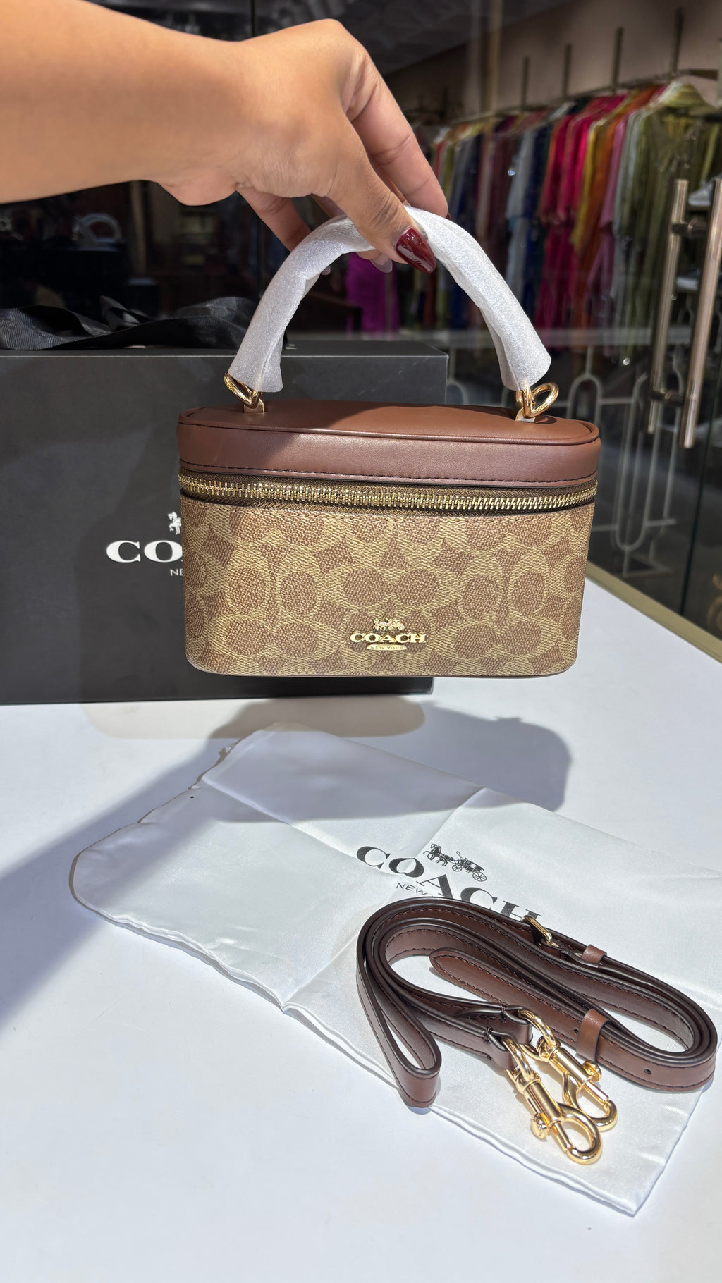 Signature Brown monogram vanity bag