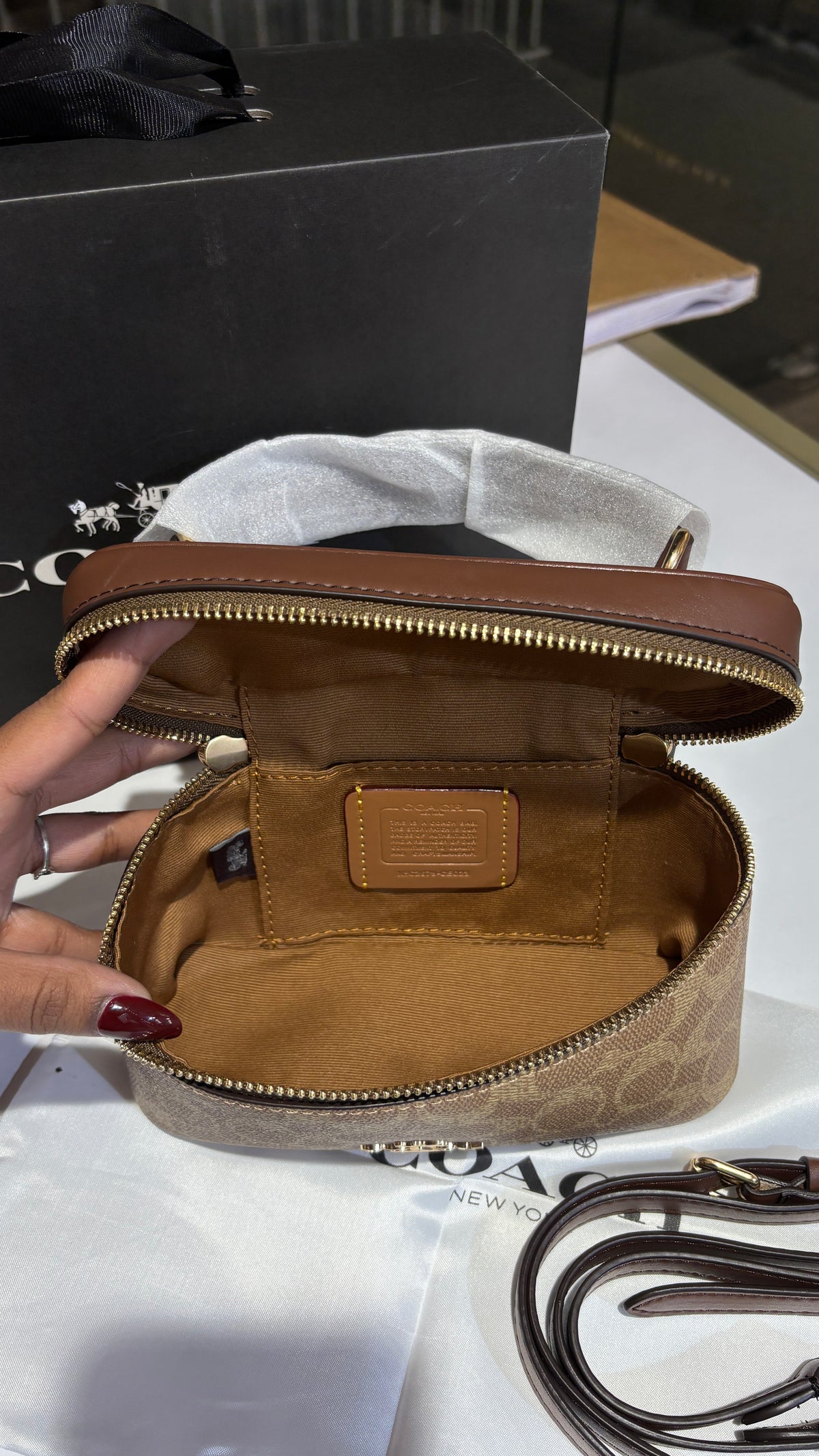 Signature Brown monogram vanity bag