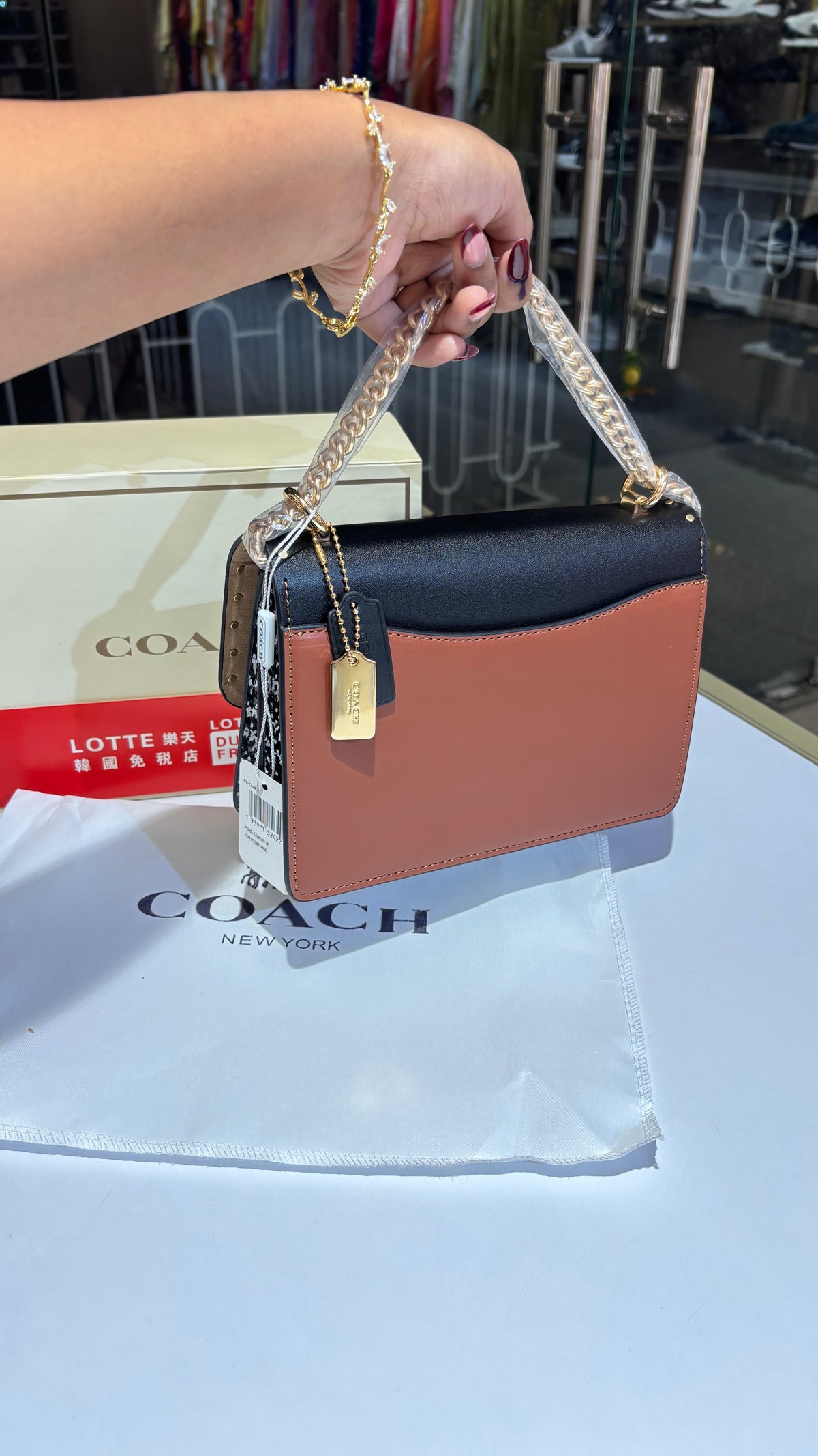 Classic Dual Shade Sling bag