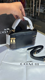Dark brown monogram vanity bag