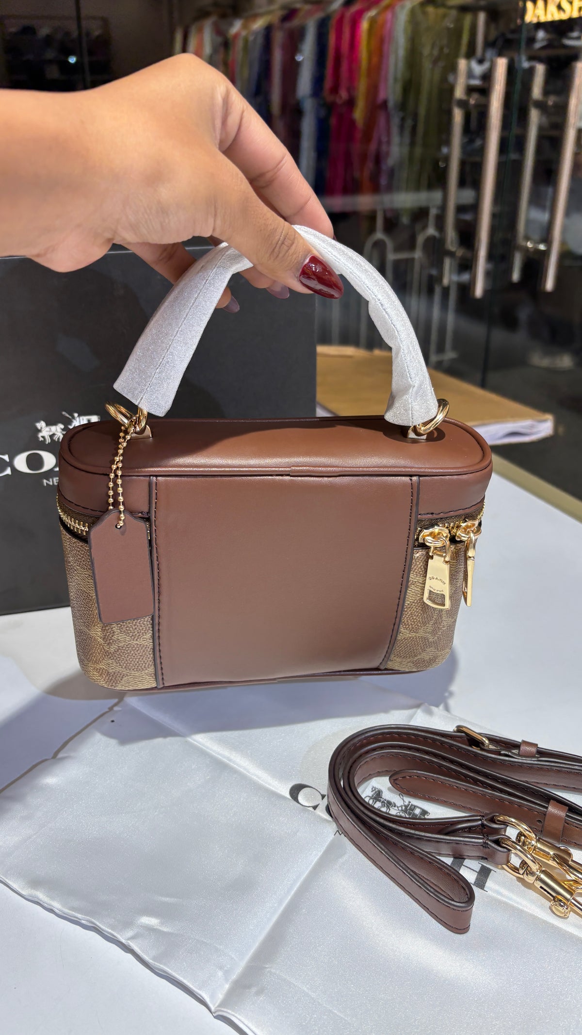 Signature Brown monogram vanity bag